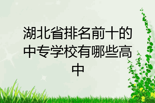 湖北省排名前十的中专学校有哪些高中