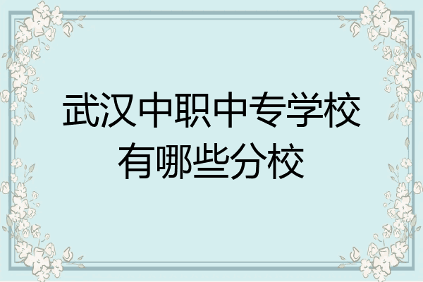 武汉中职中专学校有哪些分校