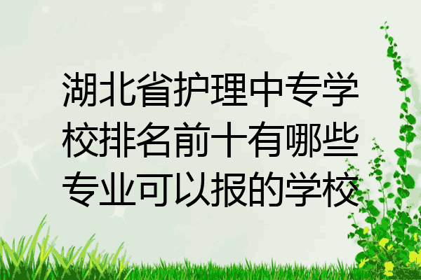 湖北省护理中专学校排名前十有哪些专业可以报的学校