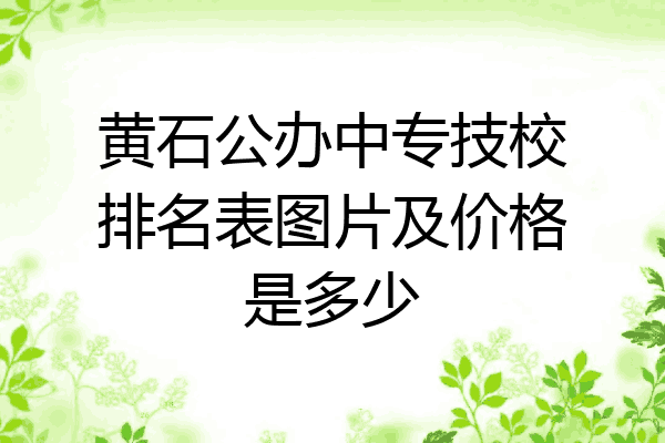 黄石公办中专技校排名表图片及价格是多少