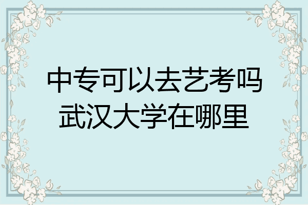 中专可以去艺考吗武汉大学在哪里