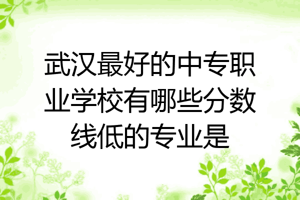 武汉最好的中专职业学校有哪些分数线低的专业是