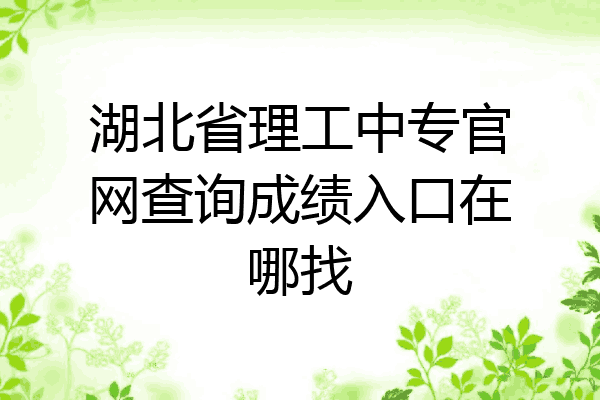 湖北省理工中专官网查询成绩入口在哪找