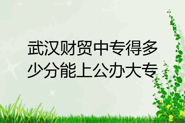 武汉财贸中专得多少分能上公办大专