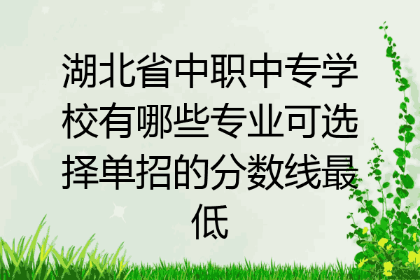 湖北省中职中专学校有哪些专业可选择单招的分数线最低