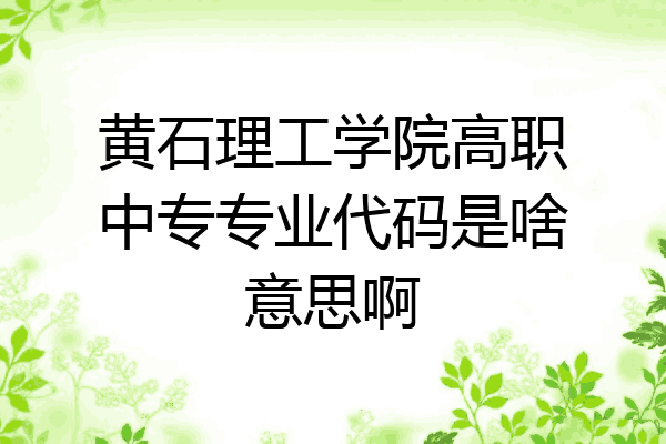 黄石理工学院高职中专专业代码是啥意思啊