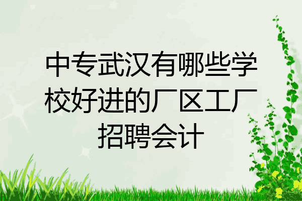 中专武汉有哪些学校好进的厂区工厂招聘会计