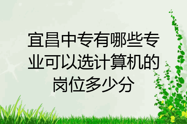宜昌中专有哪些专业可以选计算机的岗位多少分