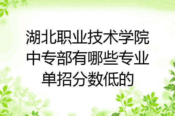 湖北职业技术学院中专部有哪些专业单招分数低的