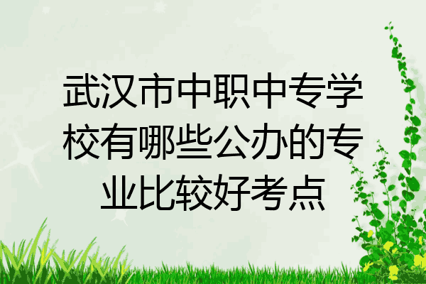 武汉市中职中专学校有哪些公办的专业比较好考点
