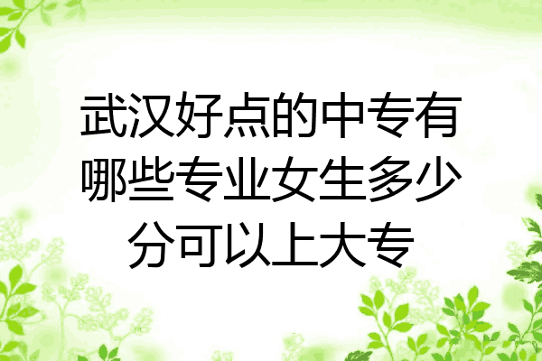 武汉好点的中专有哪些专业女生多少分可以上大专