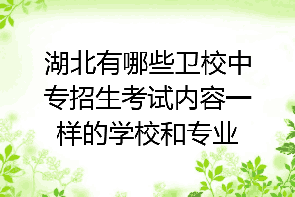 湖北有哪些卫校中专招生考试内容一样的学校和专业