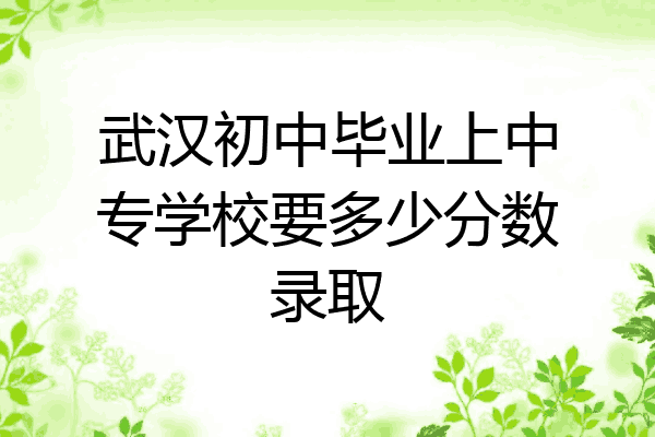 武汉初中毕业上中专学校要多少分数录取