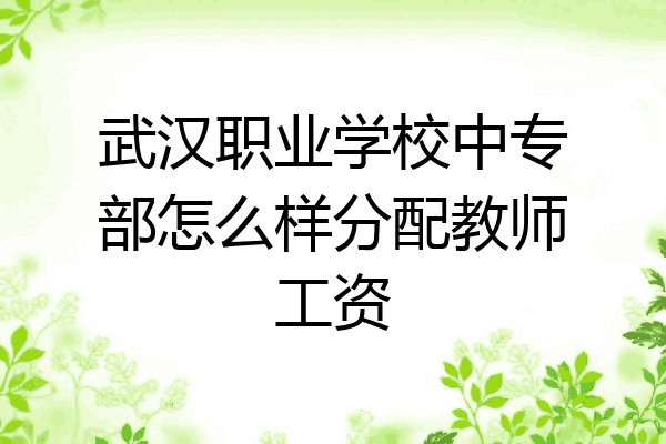 武汉职业学校中专部怎么样分配教师工资