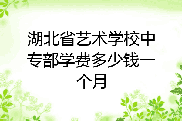 湖北省艺术学校中专部学费多少钱一个月