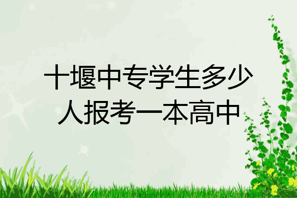 十堰中专学生多少人报考一本高中