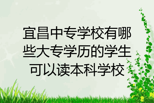 宜昌中专学校有哪些大专学历的学生可以读本科学校
