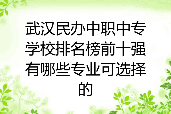 武汉民办中职中专学校排名榜前十强有哪些专业可选择的