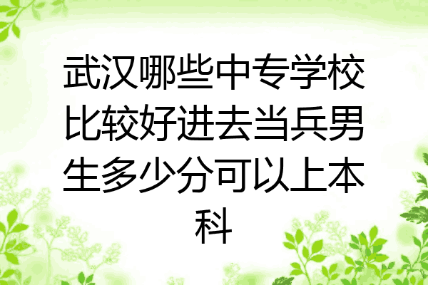 武汉哪些中专学校比较好进去当兵男生多少分可以上本科