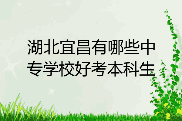 湖北宜昌有哪些中专学校好考本科生
