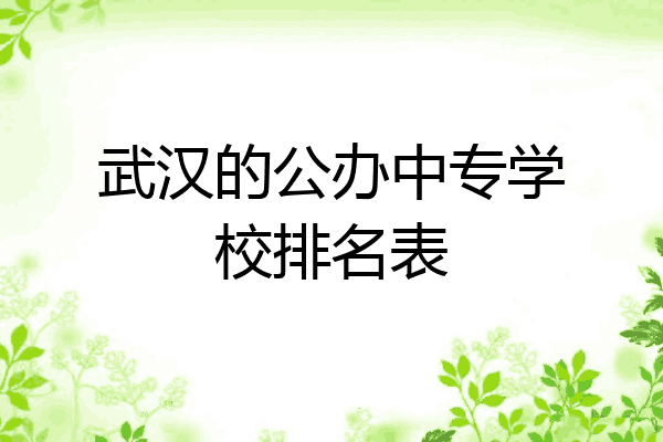 武汉的公办中专学校排名表
