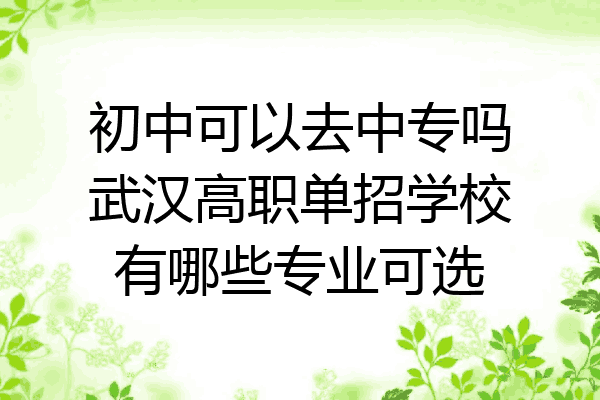 初中可以去中专吗武汉高职单招学校有哪些专业可选