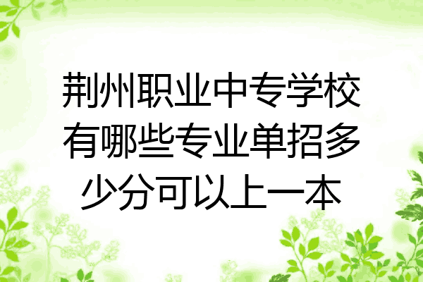 荆州职业中专学校有哪些专业单招多少分可以上一本