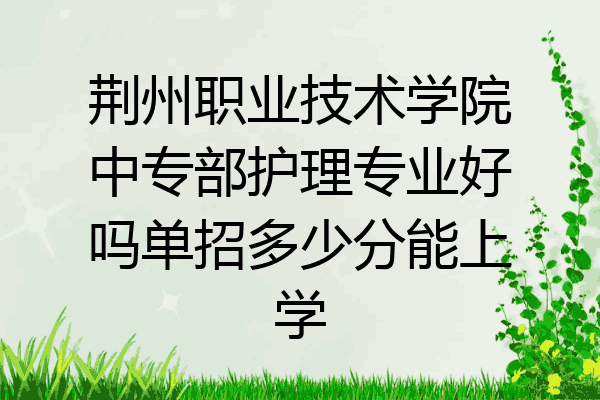 荆州职业技术学院中专部护理专业好吗单招多少分能上学