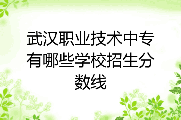 武汉职业技术中专有哪些学校招生分数线