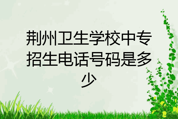荆州卫生学校中专招生电话号码是多少
