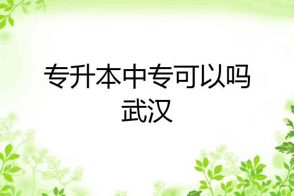 专升本中专可以吗武汉