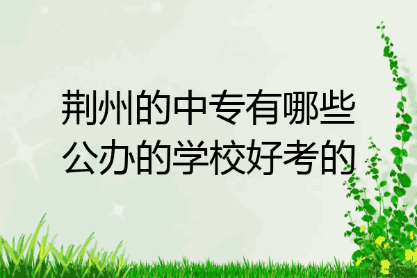 荆州的中专有哪些公办的学校好考的