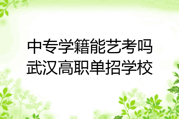 中专学籍能艺考吗武汉高职单招学校