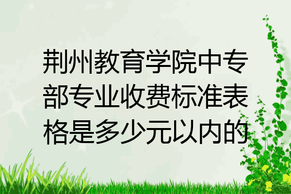 荆州教育学院中专部专业收费标准表格是多少元以内的