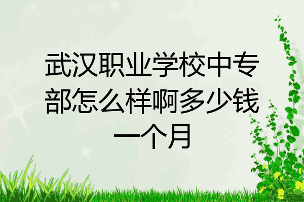 武汉职业学校中专部怎么样啊多少钱一个月