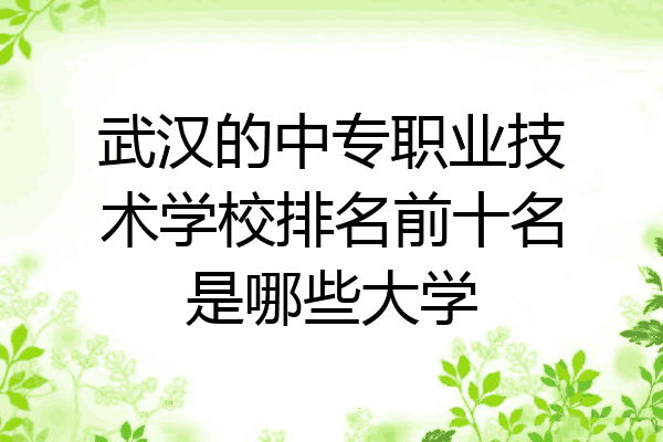 武汉的中专职业技术学校排名前十名是哪些大学
