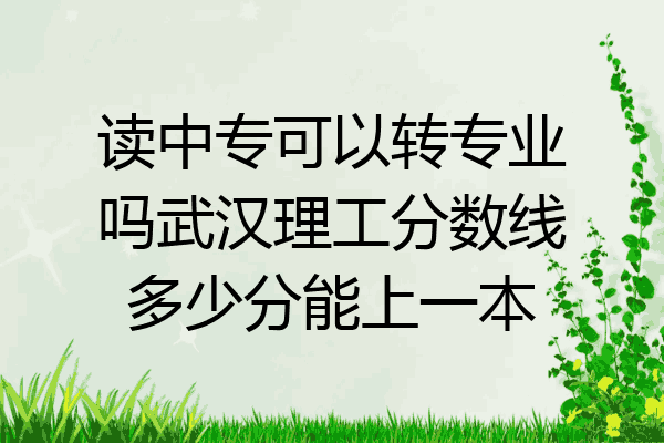 读中专可以转专业吗武汉理工分数线多少分能上一本