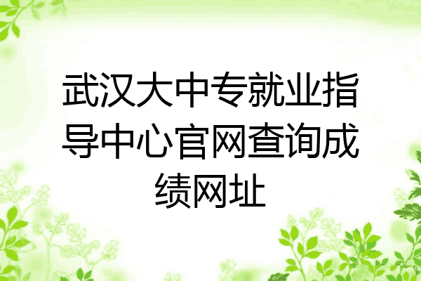 武汉大中专就业指导中心官网查询成绩网址