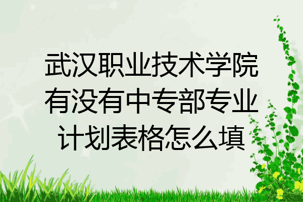 武汉职业技术学院有没有中专部专业计划表格怎么填