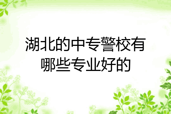 湖北的中专警校有哪些专业好的