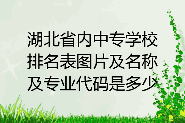 湖北省内中专学校排名表图片及名称及专业代码是多少