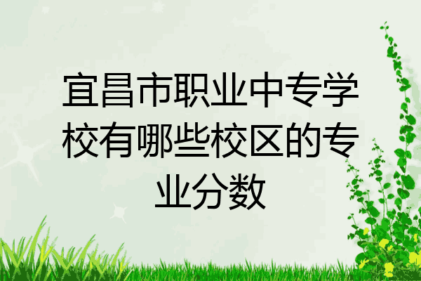 宜昌市职业中专学校有哪些校区的专业分数
