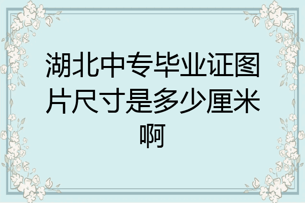 湖北中专毕业证图片尺寸是多少厘米啊