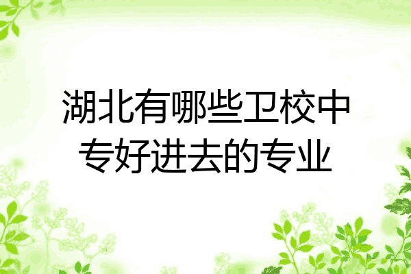 湖北有哪些卫校中专好进去的专业