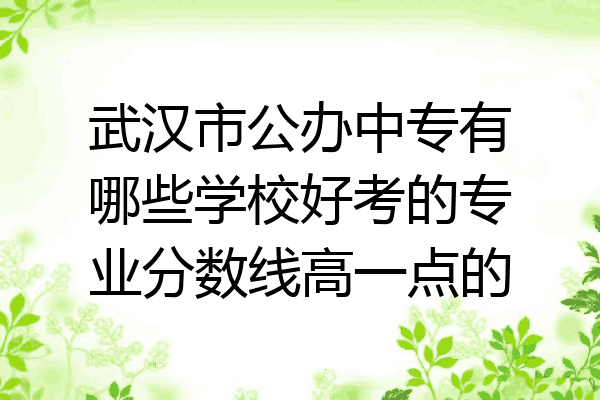 武汉市公办中专有哪些学校好考的专业分数线高一点的