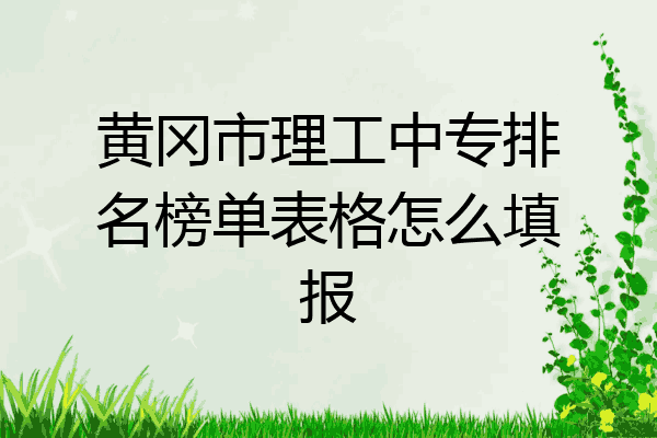 黄冈市理工中专排名榜单表格怎么填报