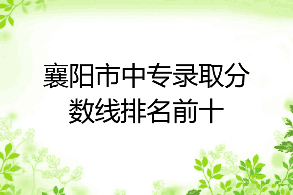襄阳市中专录取分数线排名前十