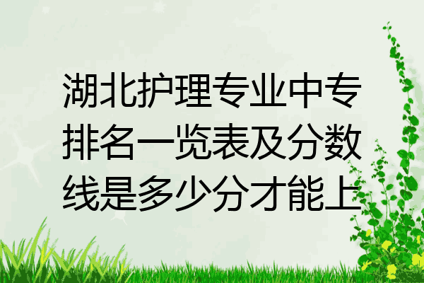 湖北护理专业中专排名一览表及分数线是多少分才能上