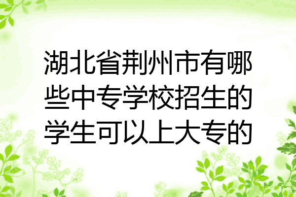 湖北省荆州市有哪些中专学校招生的学生可以上大专的