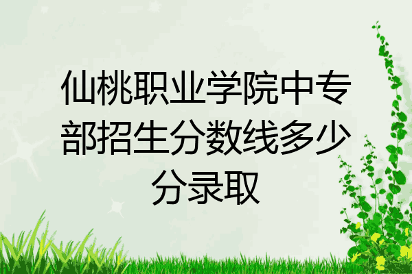 仙桃职业学院中专部招生分数线多少分录取